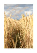 Wheat Field | Crie seu próprio pôster