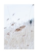 Reeds In Winter | Crie seu próprio pôster