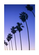 Palm Trees At Sunset In California | Crie seu próprio pôster