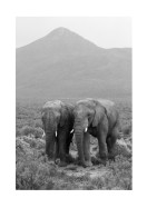 Two Elephants In Black And White | Crie seu próprio pôster