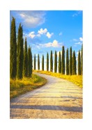 Cyprus Trees In Italy | Crie seu próprio pôster